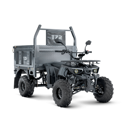 Грузовой квадроцикл TZR HUNTER 0200 