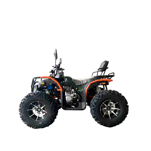 Квадроцикл TZR DEFENDER 300 4x4
