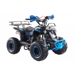 Квадроцикл TZR 125 DEFENDER