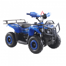 Квадроцикл TZR 50 DEFENDER